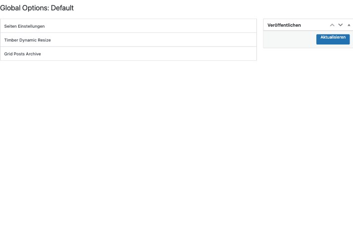 Global Options im Backend